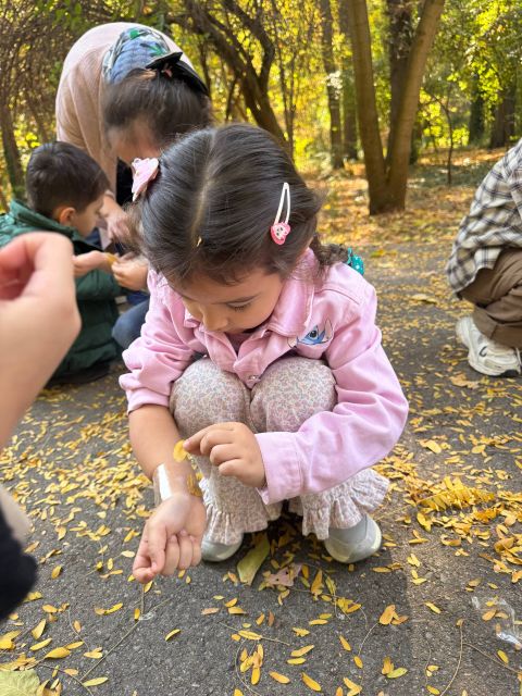 Первая экскурсия в новом формате: 🍂Ботанический сад🍂